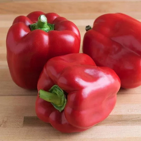 sweet-pepper-red-bell Sweet Pepper 'Red Bell'