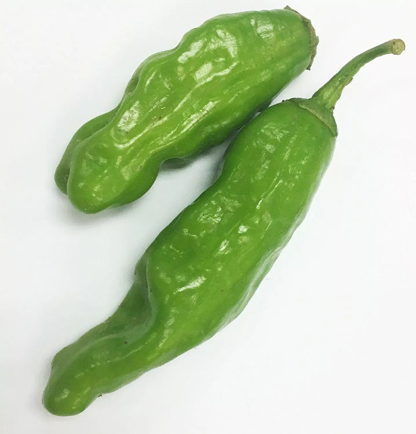 sweet-pepper-shisito Sweet Pepper: Shisito
