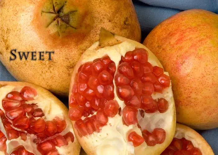 sweet-pomegranate Sweet Pomegranate
