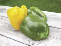 sweet-sunrise-yellow-bell-pepper Sweet Sunrise Yellow Bell Pepper