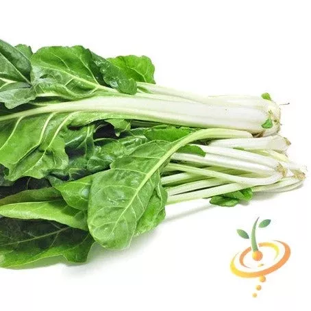 swiss-chard-classic-fordhook-giant-seeds Swiss Chard - Classic "Fordhook" Giant seeds