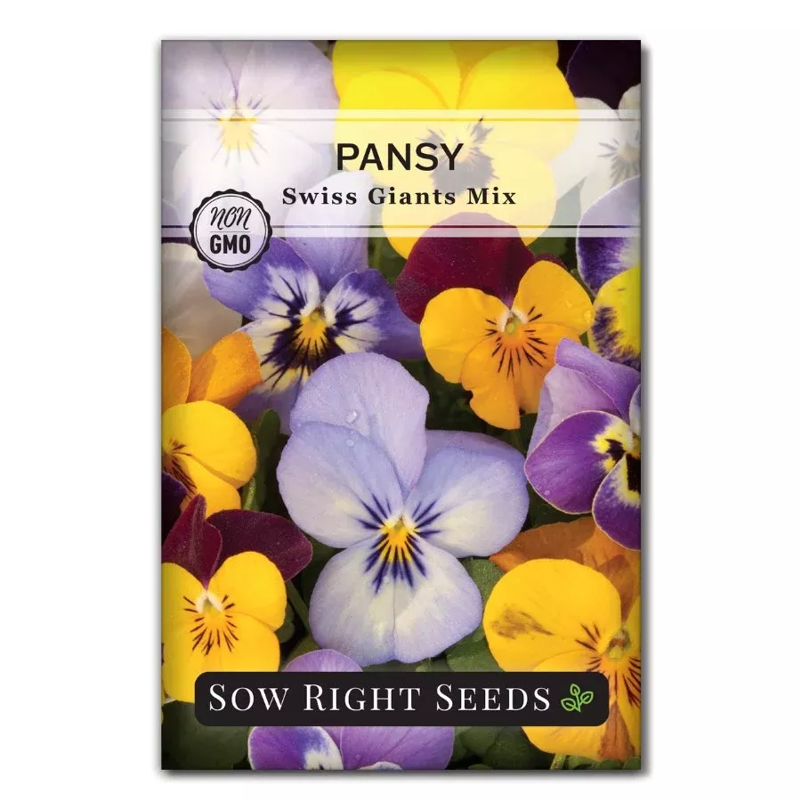 swiss-giants-mix-pansy Swiss Giants Mix Pansy