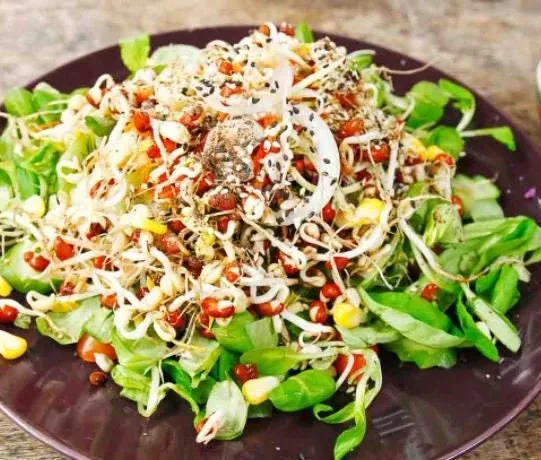 tangy-bean-mix-sprouting-organic-non-gmo-heirloom-seeds-microgreen-seeds-usa-gar Tangy Bean Mix For Sprouting - Organic - Non Gmo - Heirloom Seeds – Microgreen Seeds - USA Garden Seeds