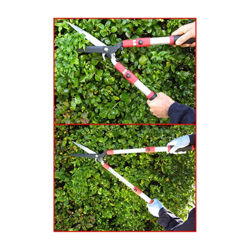 Telescopic Hedge ShearsSale