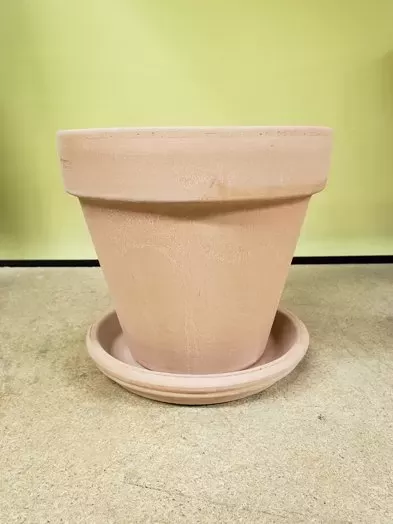 terracotta-white-saucer-15-cm Terracotta White Saucer 15 cm