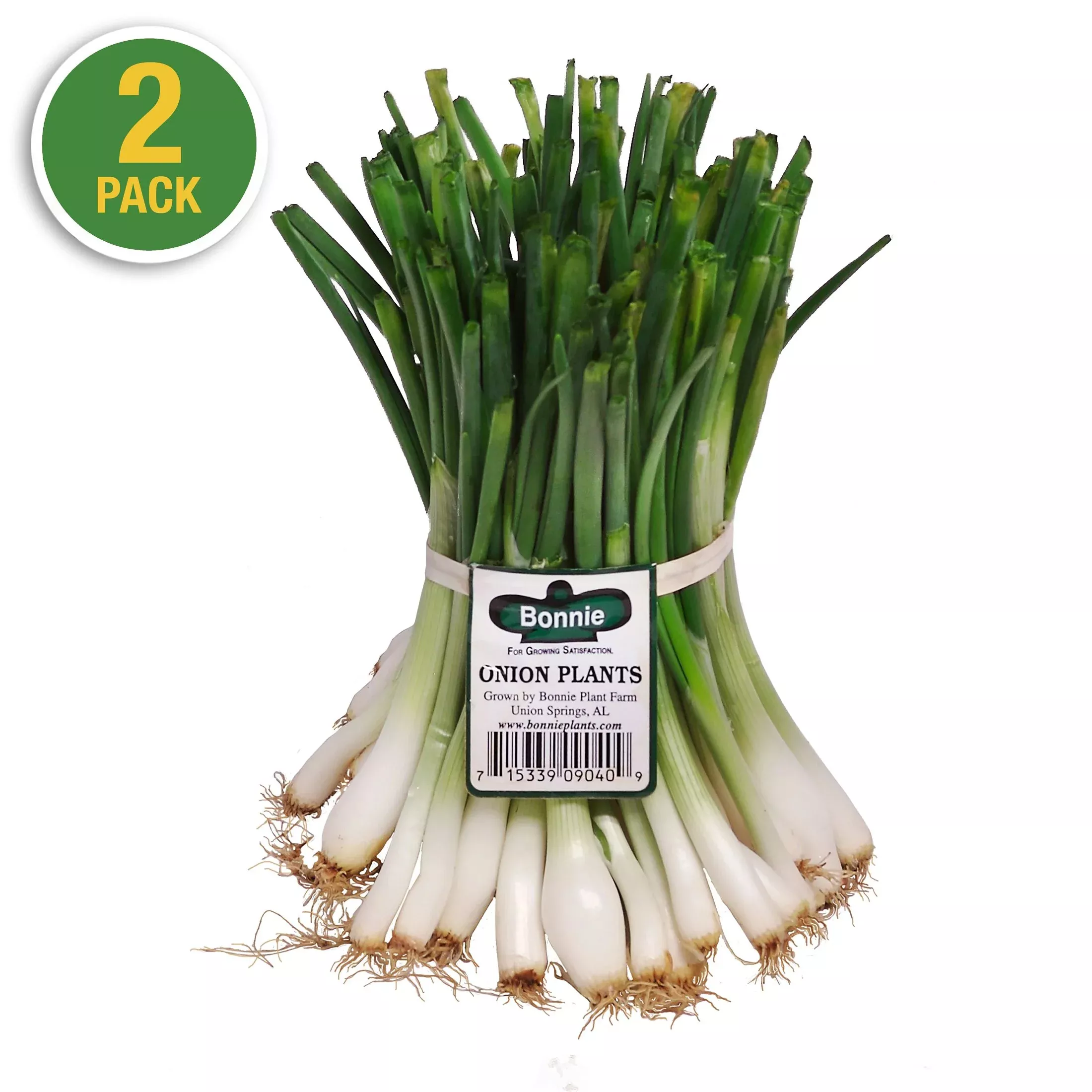 texas-sweet-onion-2-pack Texas Sweet Onion (2 Pack)