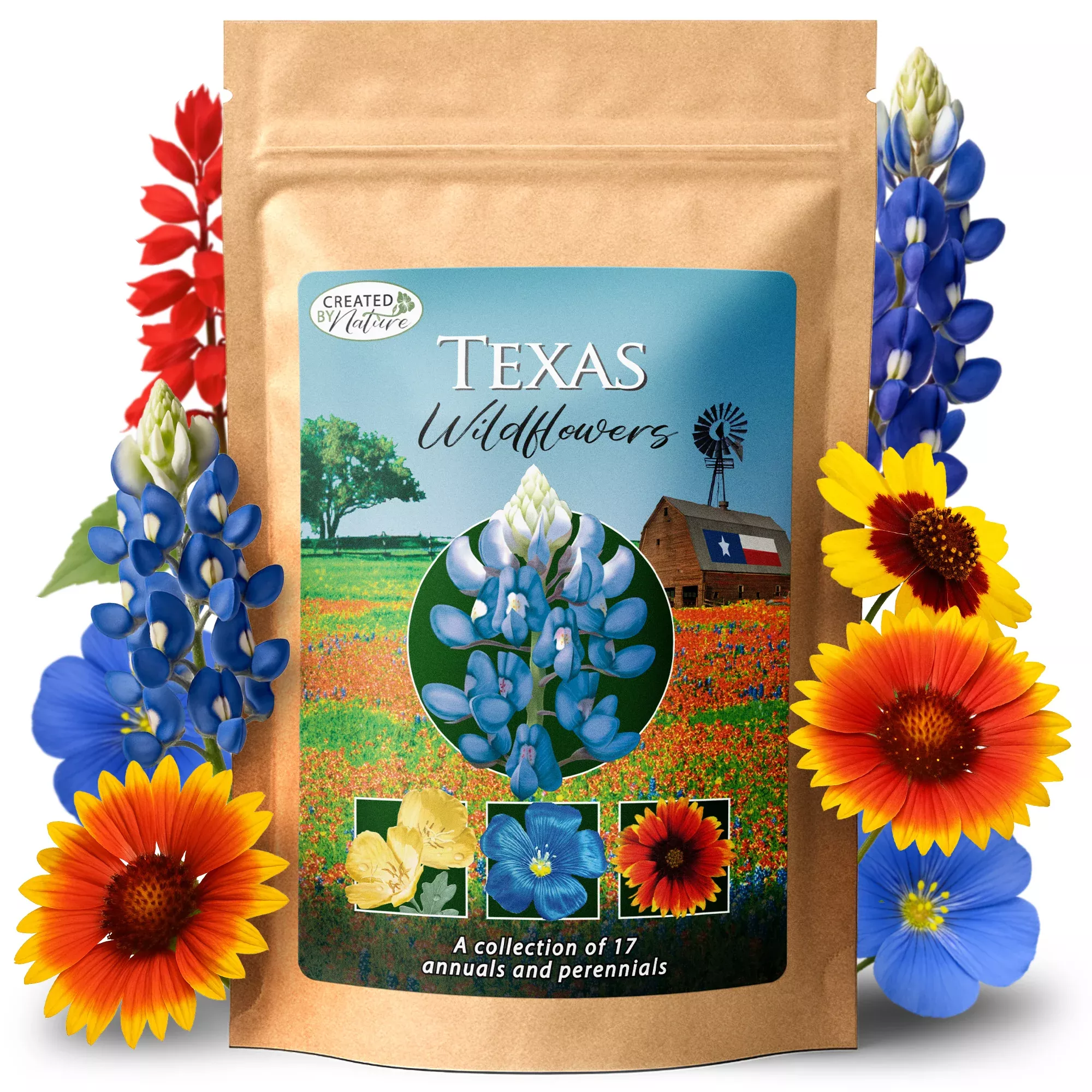 texas-wildflower-seed-mix Texas Wildflower Seed Mix