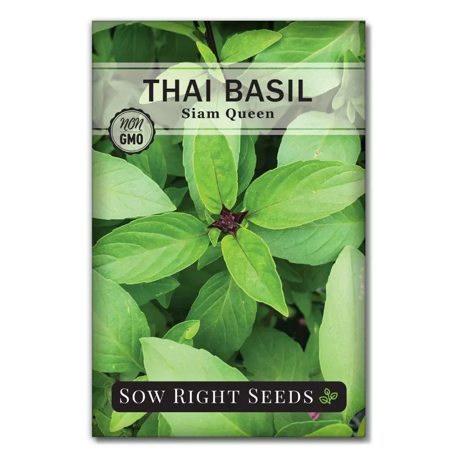 thai-basil-seeds Thai Basil Seeds