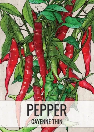 thin-cayenne-hot-pepper-seeds-planting-capsicum-annuum Thin Cayenne Hot Pepper Seeds For Planting (Capsicum annuum)