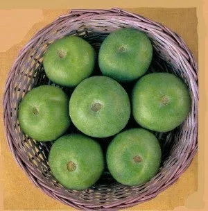 tinda-green-ball Tinda-Green Ball
