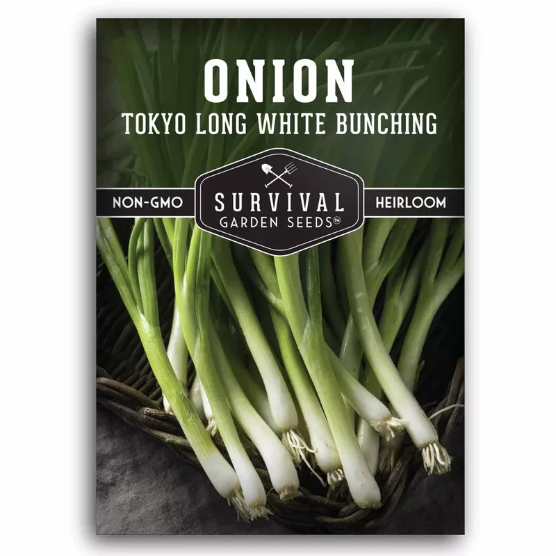 tokyo-long-white-bunching-onion-seeds-heirloom-non-bulbing-green-onions-tall-ten Tokyo Long White Bunching Onion Seeds – Heirloom Non-Bulbing Green Onions for Tall, Tender Tops