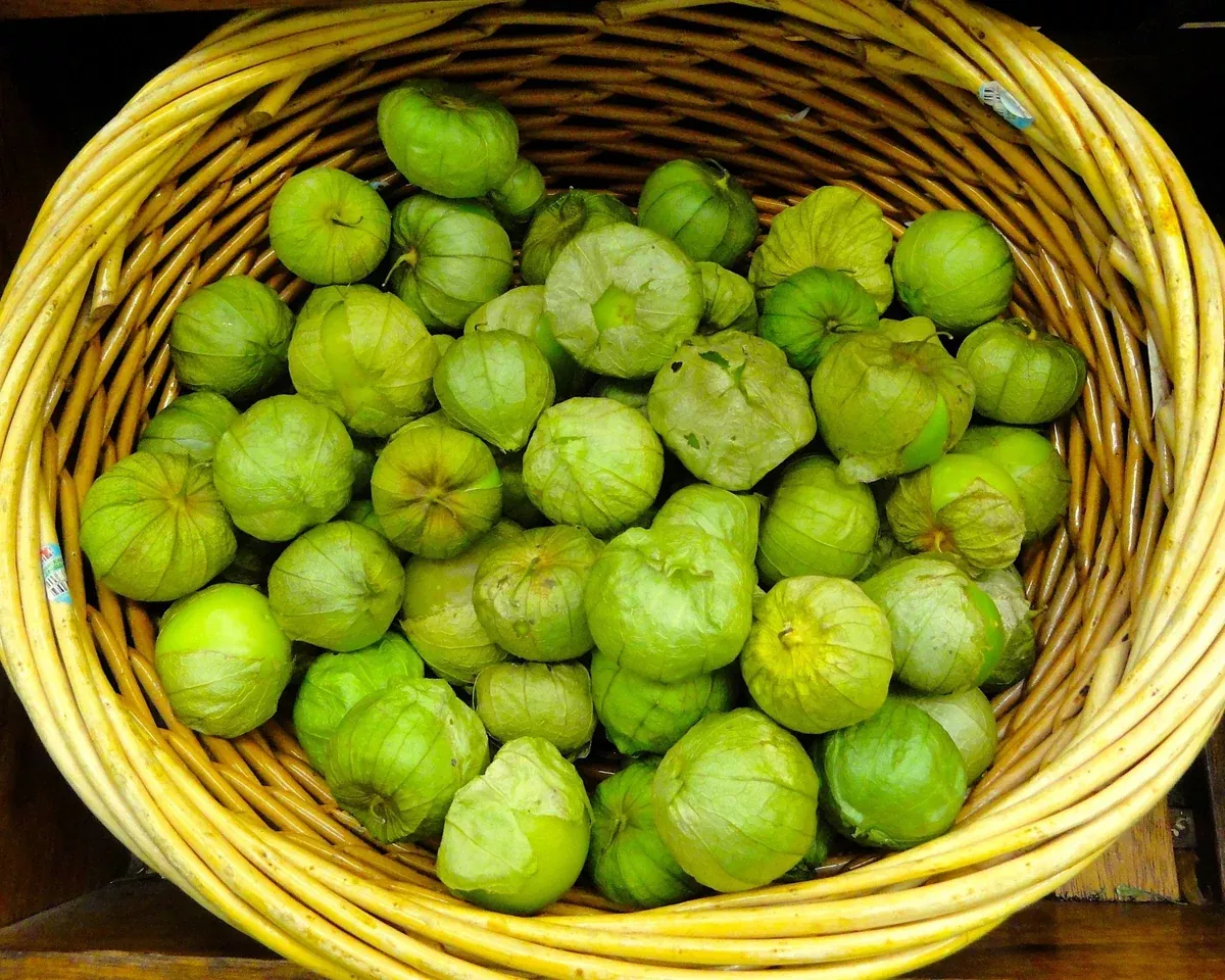 toma-verde-tomatillo-seeds Toma Verde Tomatillo Seeds
