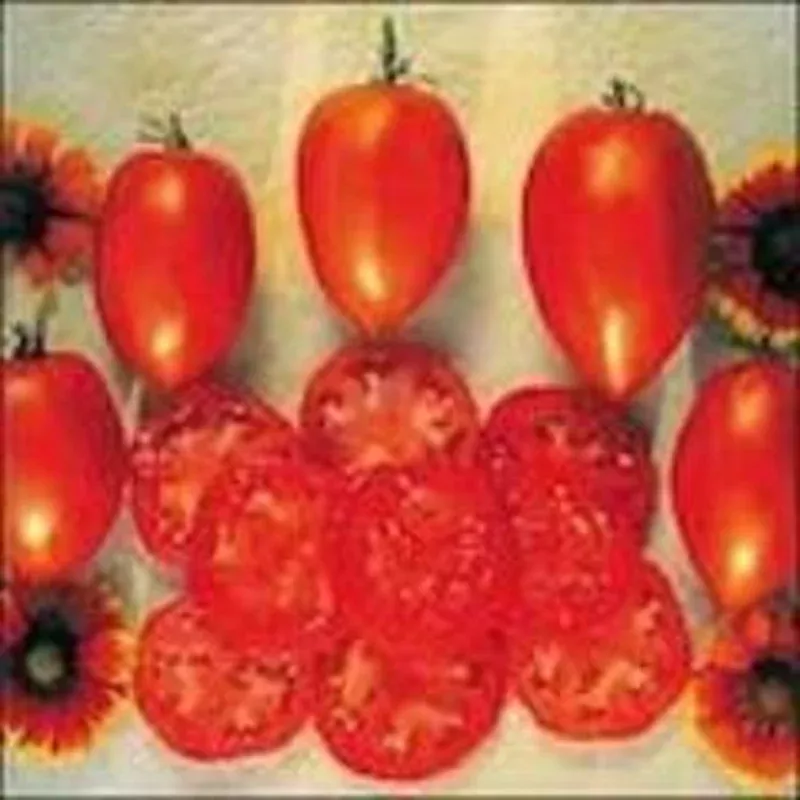 tomato-amish-paste Tomato: Amish Paste