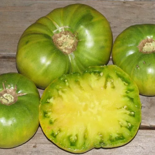 Tomato, Aunt Rubys German Green (Indeterminate)
