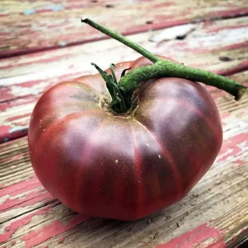 Tomato, Black Brandywine (Indeterminate)