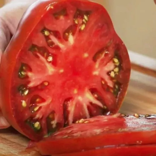 Tomato, Cherokee Purple (Indertimate)