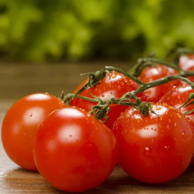 tomato-cherry-red-large-indeterminate-seeds Tomato - Cherry, Red (Large) (Indeterminate) seeds