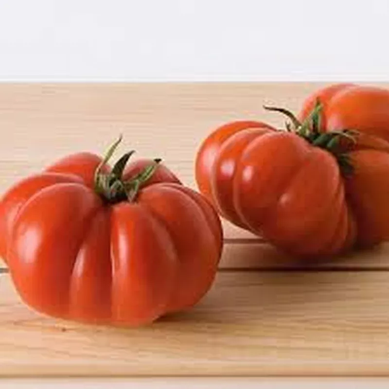 Tomato: Costoluto Genovese