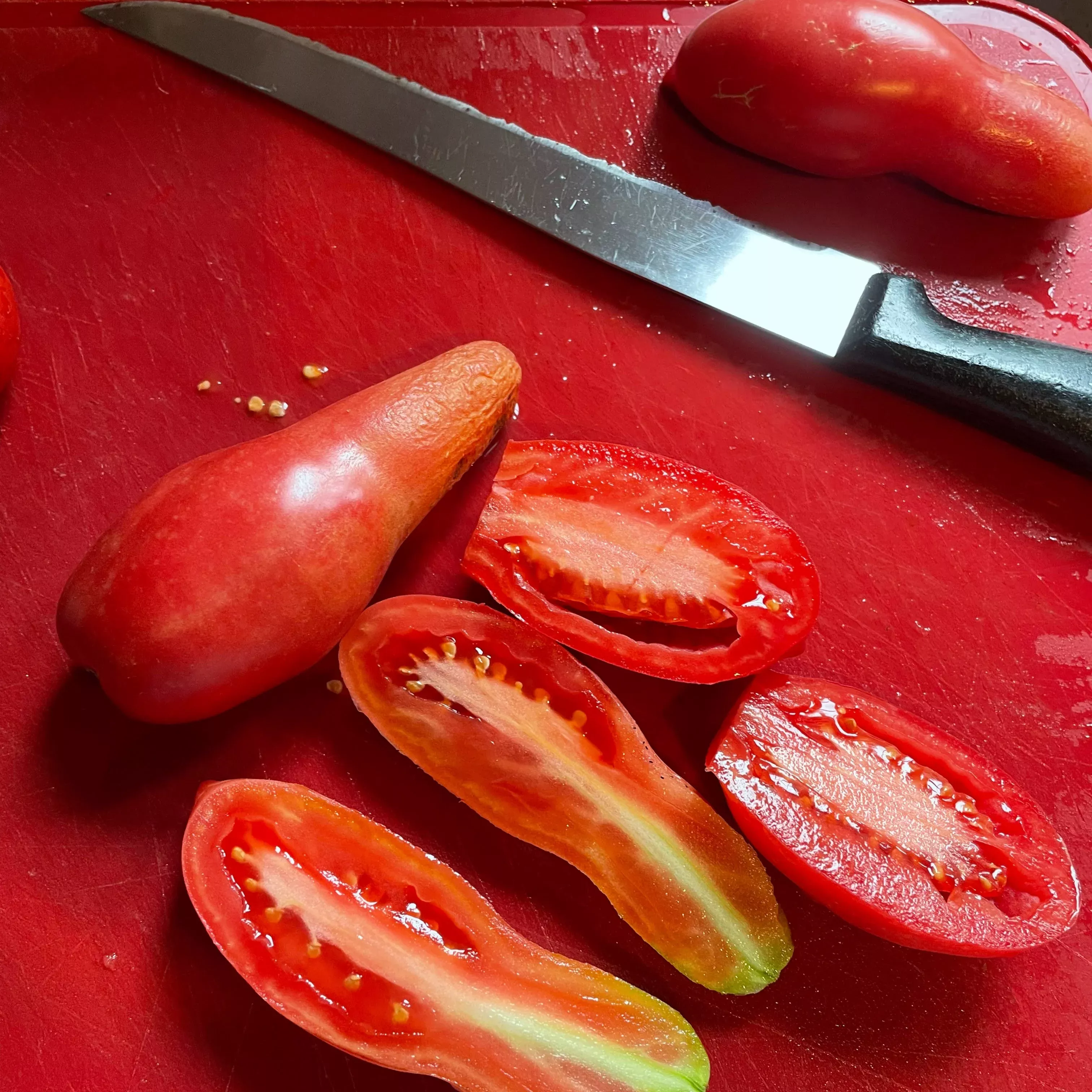 tomato-pink-fang Tomato: Pink Fang