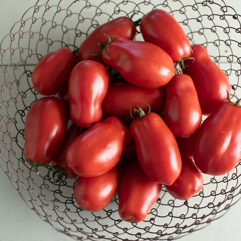 Tomato: San Marzano II Paste