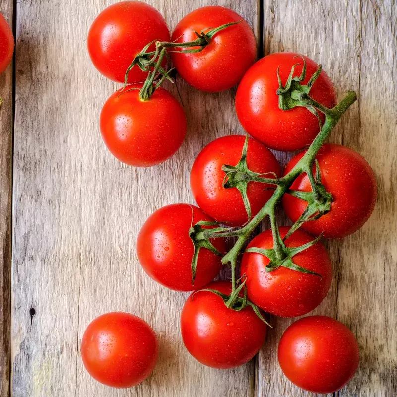 tomato-supersweet-100 Tomato (Supersweet 100)
