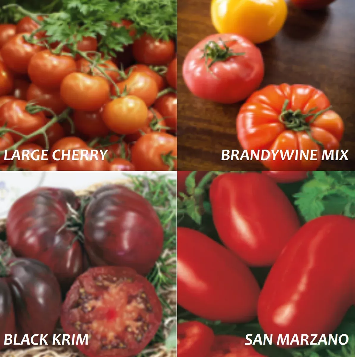 tomato-variety-pack Tomato Variety Pack