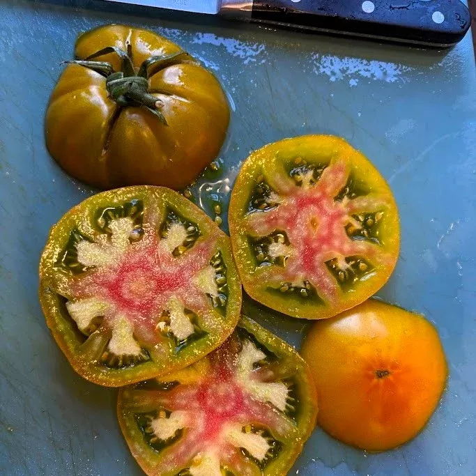 Tomato: Woodstock
