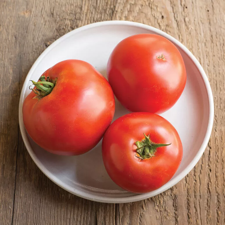 Tomatoes – Red Slicer