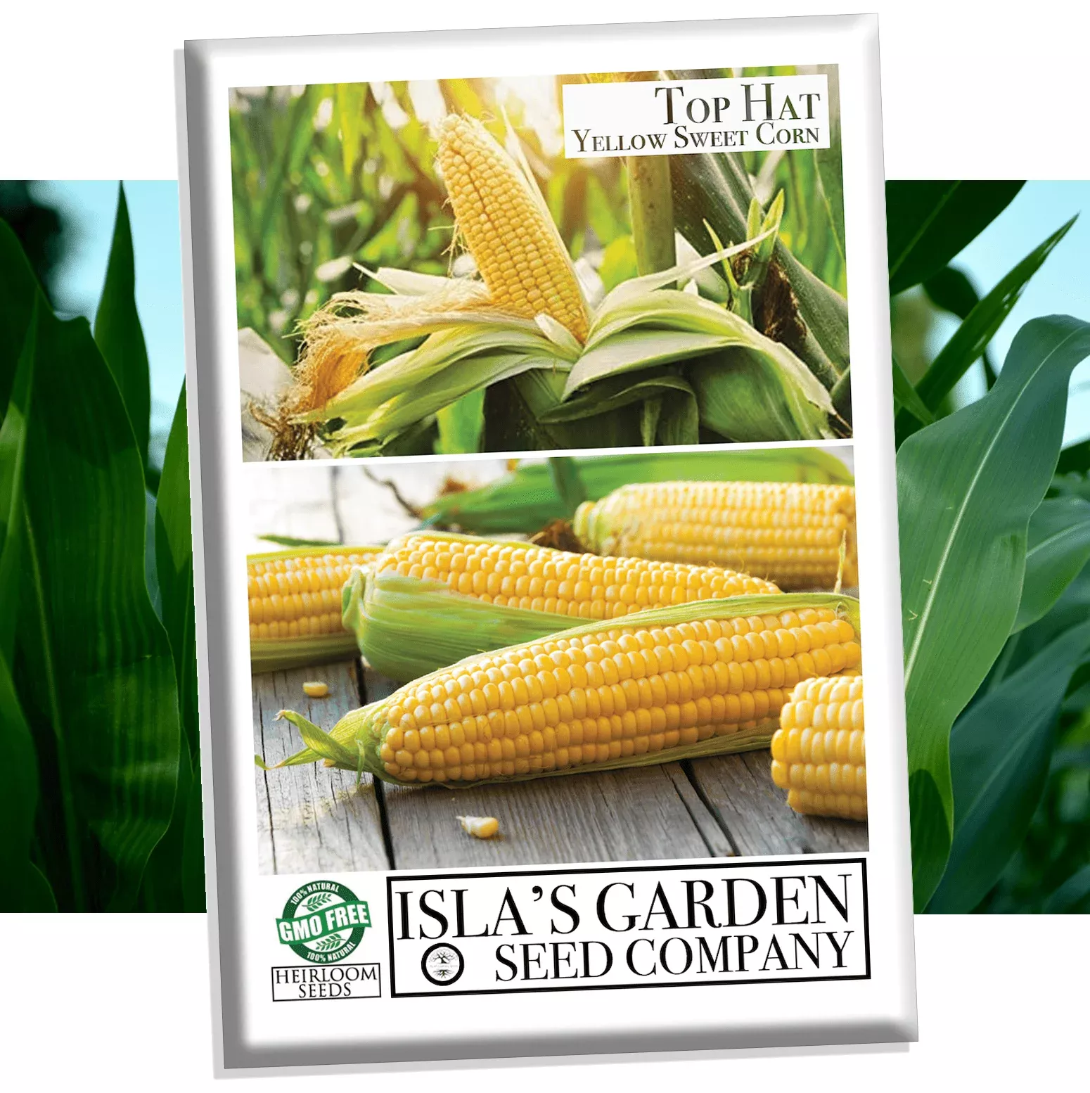 "Top Hat" Yellow Sweet Corn Seeds, 25+ Seeds Per Packet, (Isla's Garden Seeds), Non GMO & Heirloom Seeds, Botanical Name: Zea mays