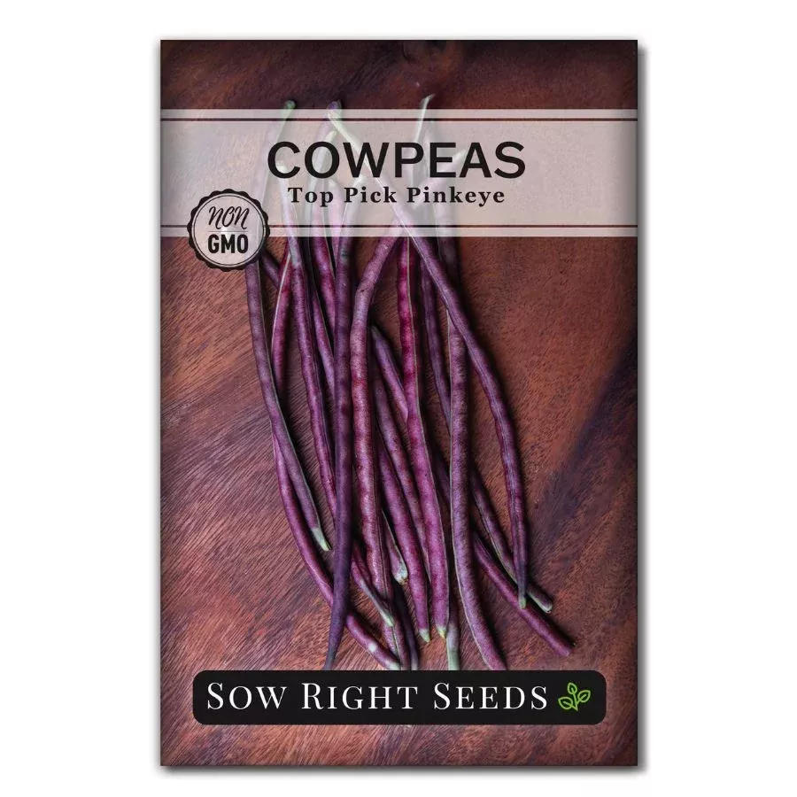 top-pick-pinkeye-cowpea Top Pick Pinkeye Cowpea