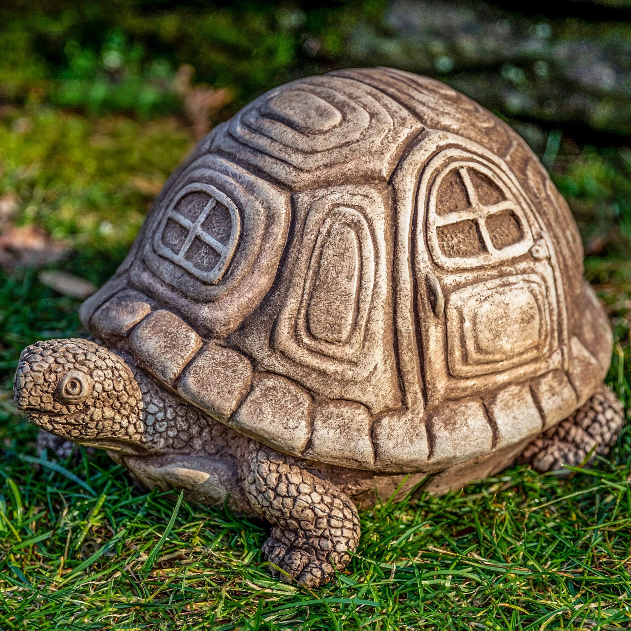 Traveling Turtle by Campania International