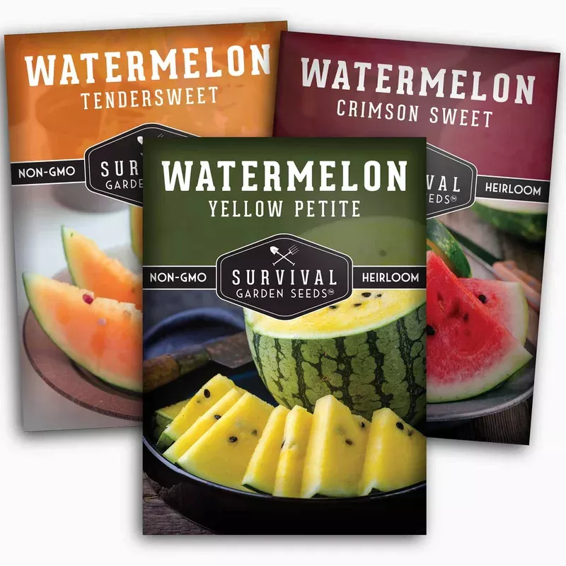tri-color-watermelon-seeds-crimson-sweet-yellow-petite-tendersweet-orange-heirlo Tri-Color Watermelon Seeds – Crimson Sweet, Yellow Petite & Tendersweet Orange Heirloom Varieties for Vibrant Summer Harvests