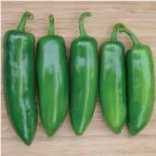 Tricked You Jalapeno Pepper Seeds