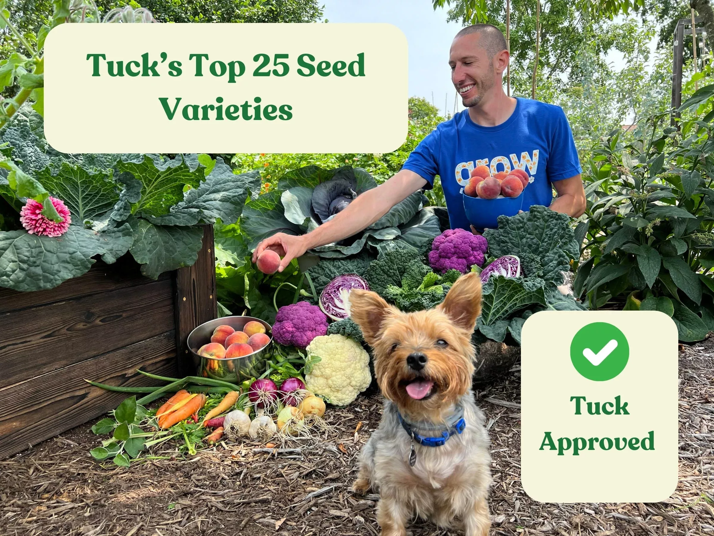 tuck-s-top-25-seeds-collection Tuck's Top 25 Seeds Collection