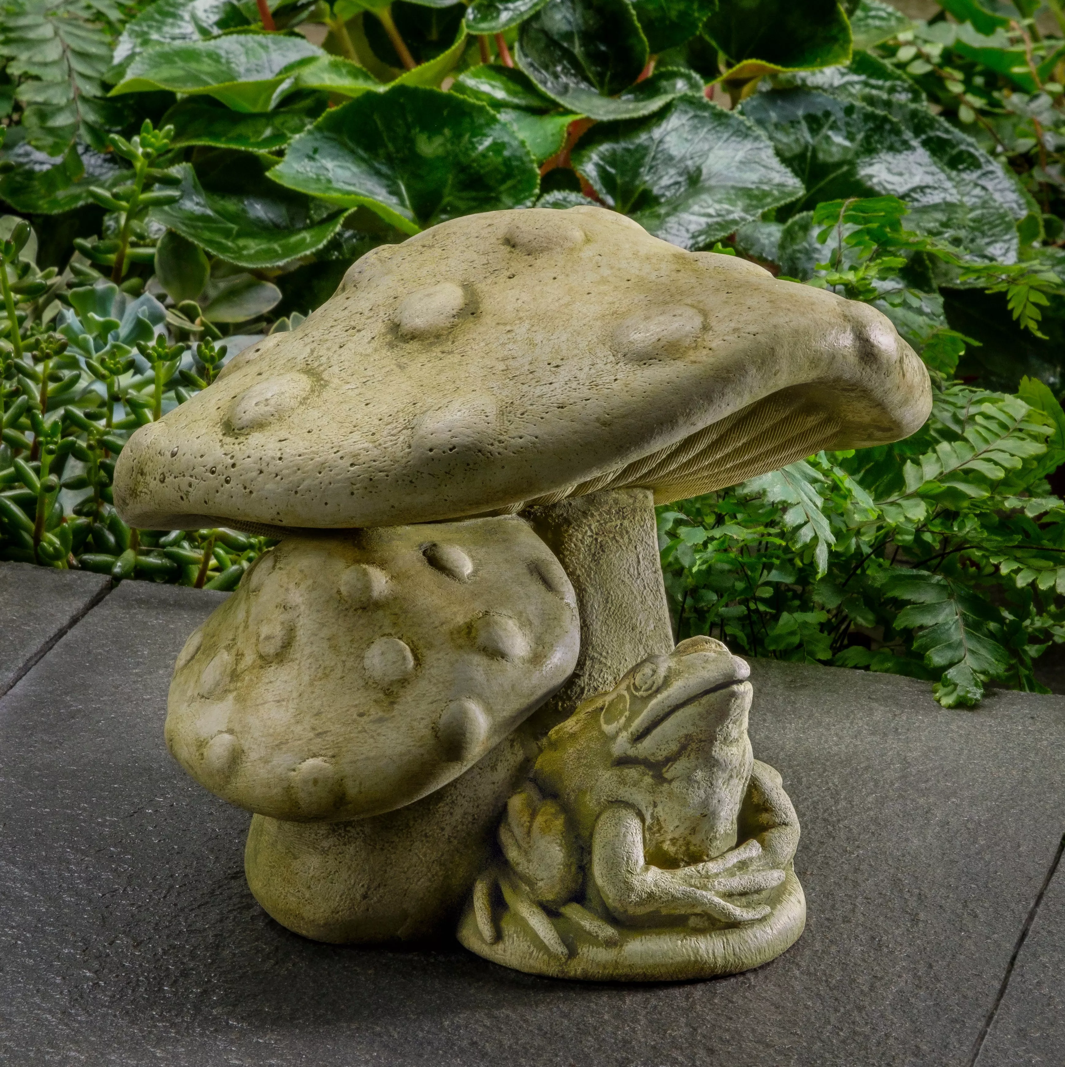 tucker-toadstool-by-campania-international Tucker Toadstool by Campania International