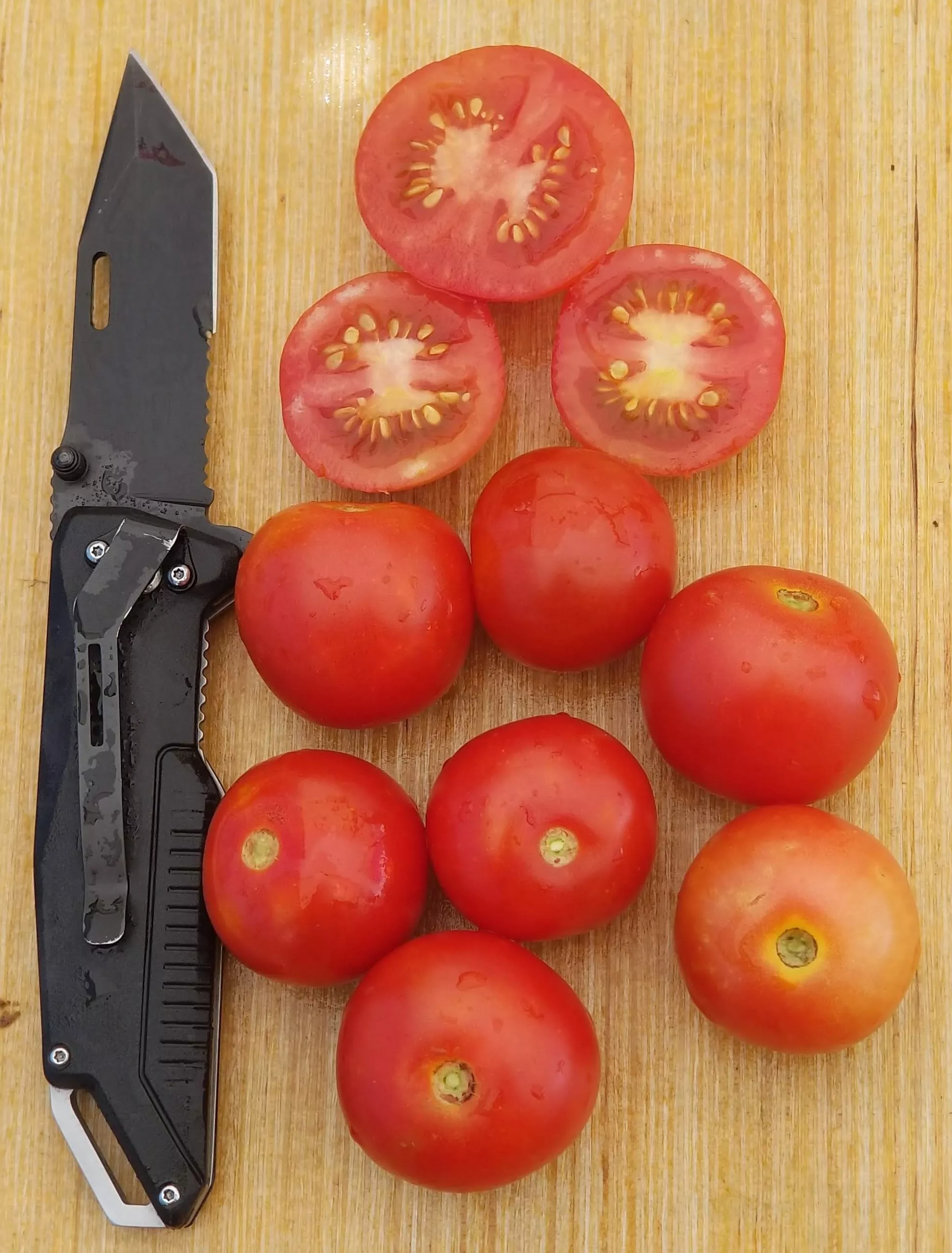 Tumbling Tom Red Tomato