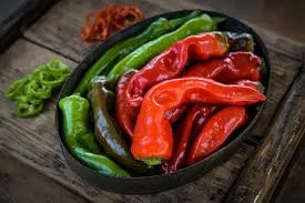 Txorixero Sweet Paprika Pepper