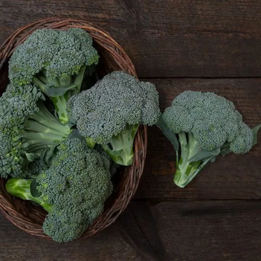 umpqua-broccoli-seeds Umpqua Broccoli Seeds