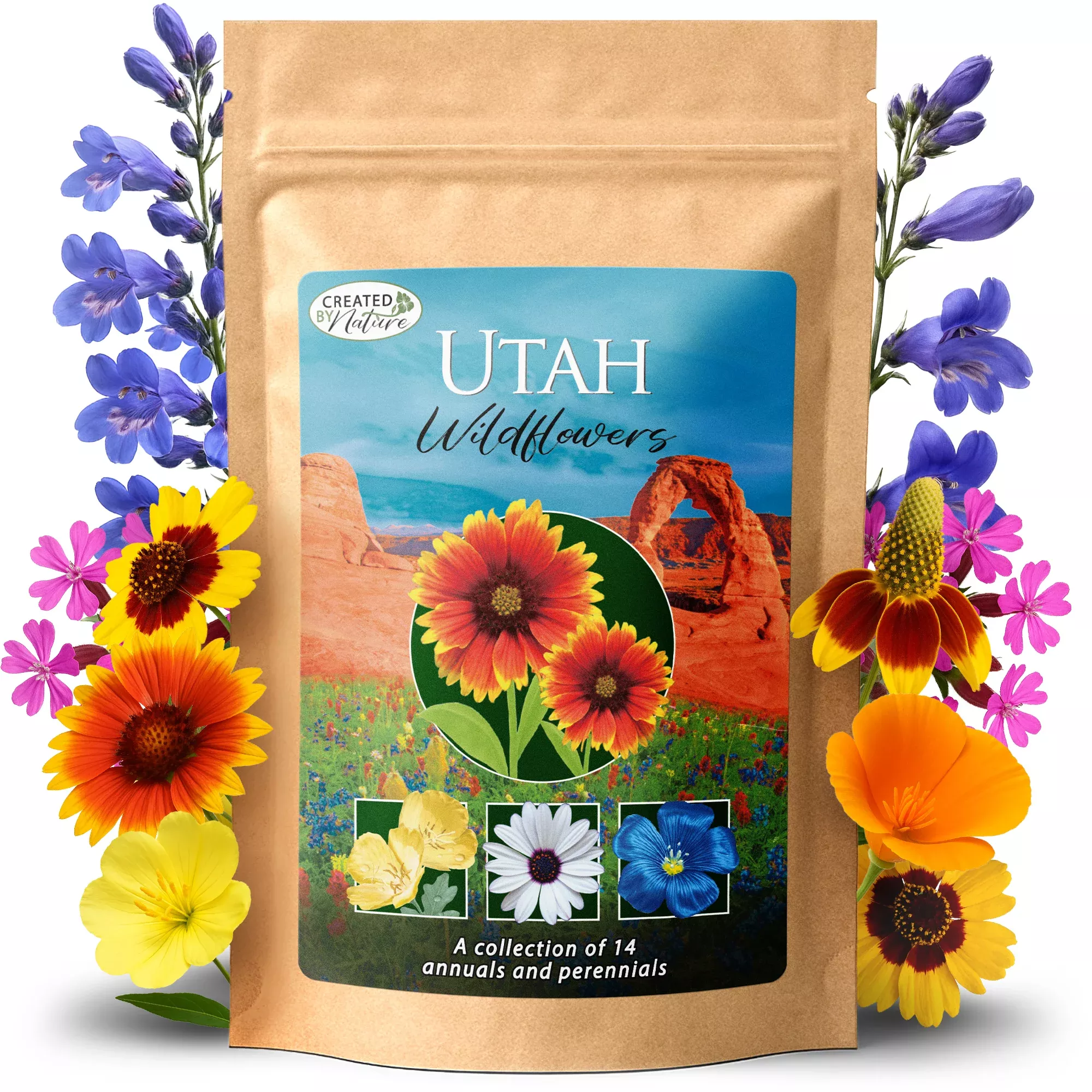 Utah Wildflower Seed Mix