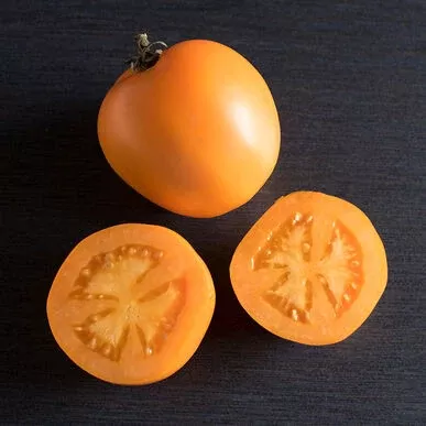 valencia Valencia