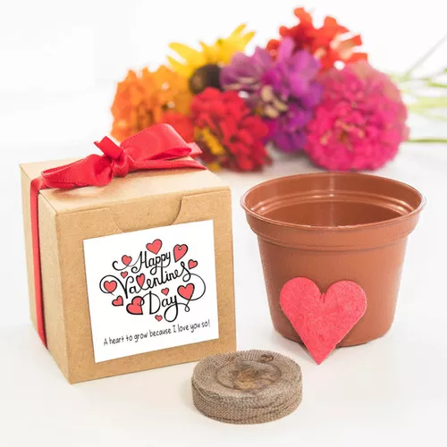 valentine-s-day-flower-garden-grow-kit Valentine's Day Flower Garden Grow Kit