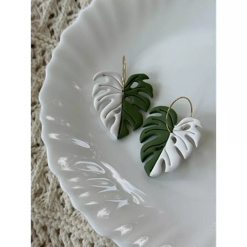 variegated-monstera Variegated Monstera