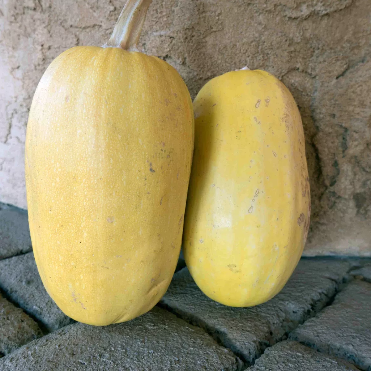 Vegetable Spaghetti Squash