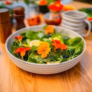 vego-salad-serving-bowl-2-pack Vego Salad Serving Bowl - 2 Pack