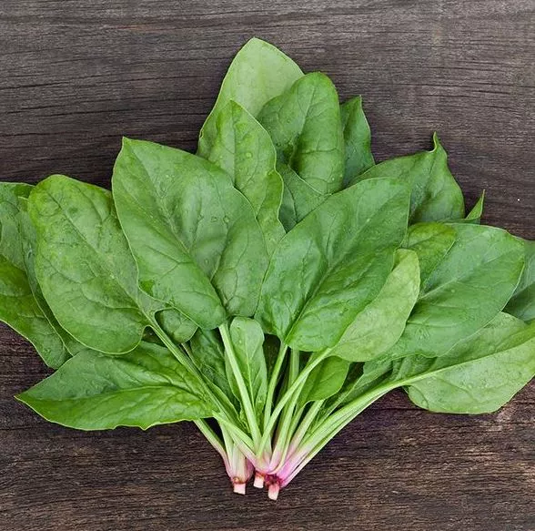 verdil-spinach Verdil Spinach