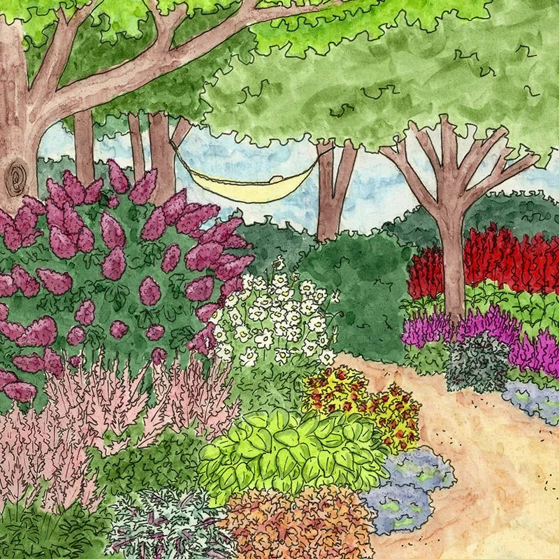 vibrant-shade-pre-planned-garden-large Vibrant Shade Pre-Planned Garden - Large