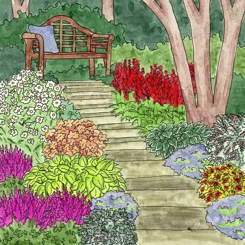 vibrant-shade-pre-planned-garden-small Vibrant Shade Pre-Planned Garden - Small