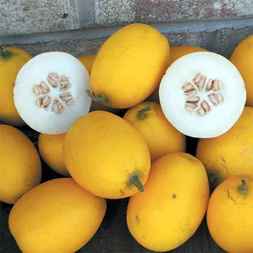 Vine Peach Seeds