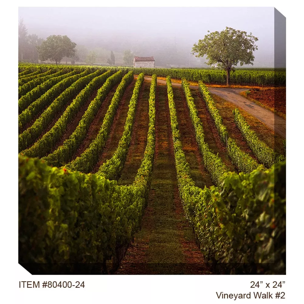Vineyard Walk #2 Outdoor Canvas Art