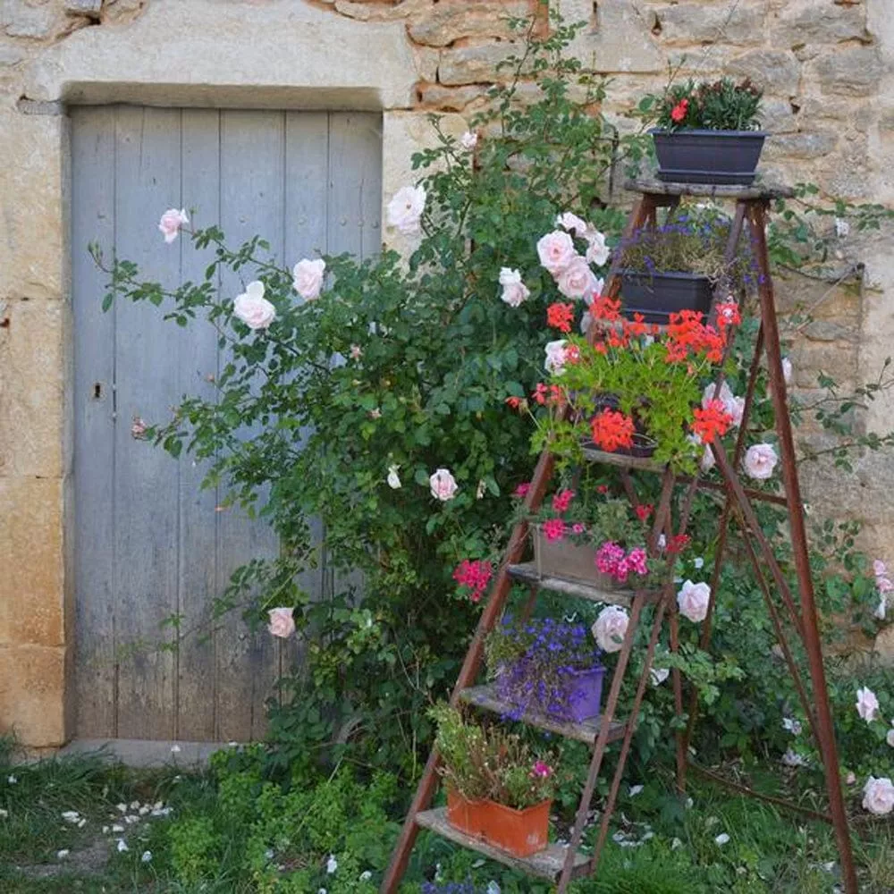 vintage-ladder-outdoor-canvas-art Vintage Ladder Outdoor Canvas Art